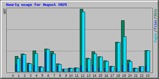 Hourly usage for August 2025