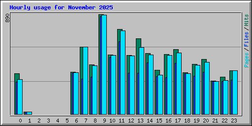 Hourly usage for November 2025